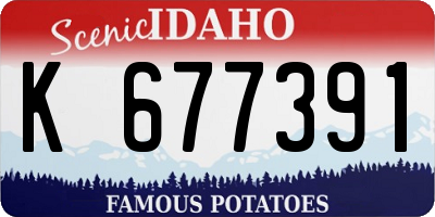 ID license plate K677391