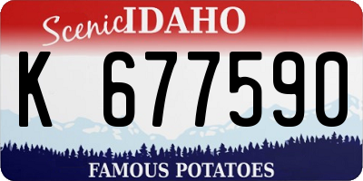 ID license plate K677590