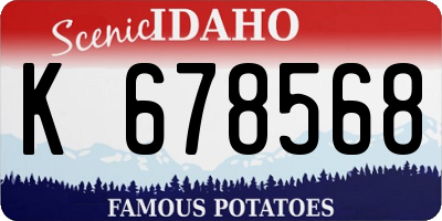ID license plate K678568