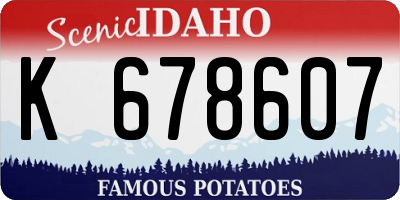 ID license plate K678607