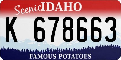 ID license plate K678663