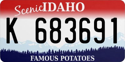 ID license plate K683691