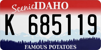 ID license plate K685119