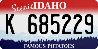ID license plate K685229