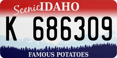 ID license plate K686309