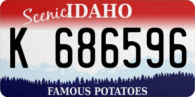 ID license plate K686596