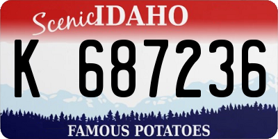 ID license plate K687236