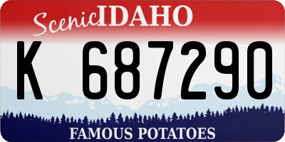 ID license plate K687290