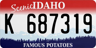 ID license plate K687319