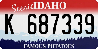 ID license plate K687339