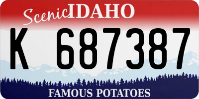 ID license plate K687387