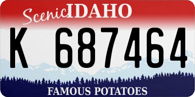 ID license plate K687464