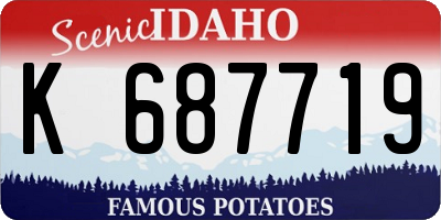 ID license plate K687719