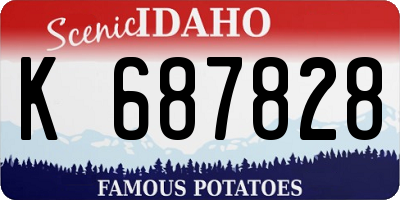 ID license plate K687828