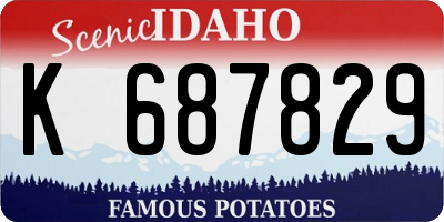 ID license plate K687829