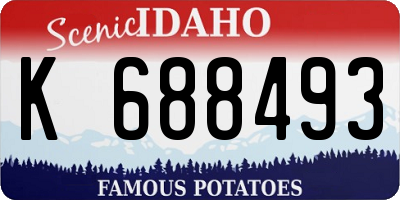 ID license plate K688493