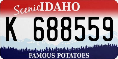 ID license plate K688559