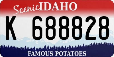 ID license plate K688828
