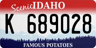 ID license plate K689028