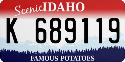 ID license plate K689119