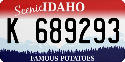 ID license plate K689293