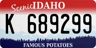 ID license plate K689299