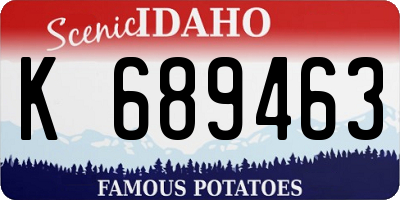 ID license plate K689463