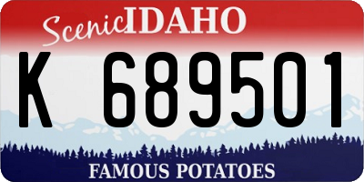 ID license plate K689501