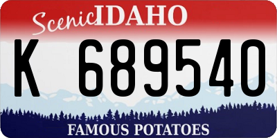 ID license plate K689540