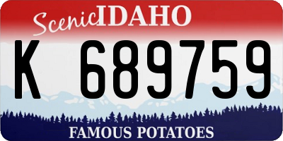 ID license plate K689759