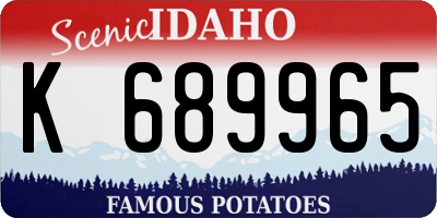 ID license plate K689965