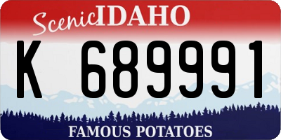ID license plate K689991