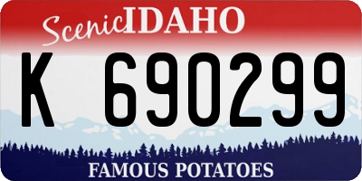 ID license plate K690299