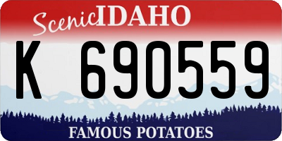 ID license plate K690559