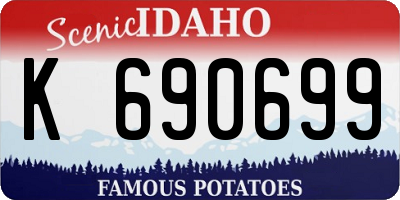 ID license plate K690699