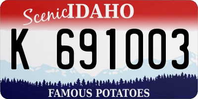 ID license plate K691003