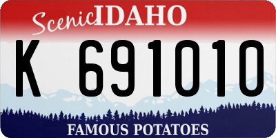 ID license plate K691010