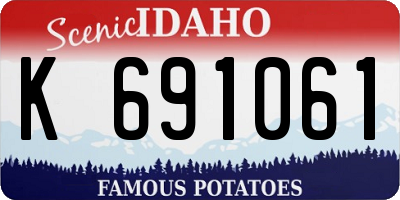 ID license plate K691061