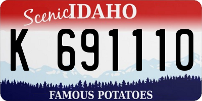 ID license plate K691110