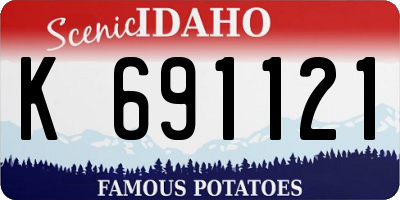 ID license plate K691121