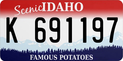 ID license plate K691197