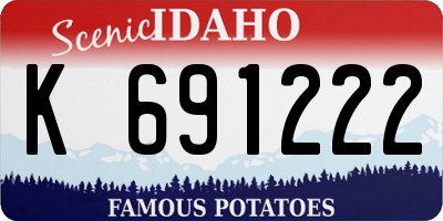 ID license plate K691222