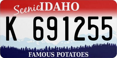 ID license plate K691255