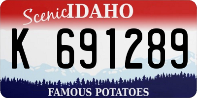 ID license plate K691289