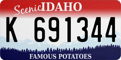 ID license plate K691344