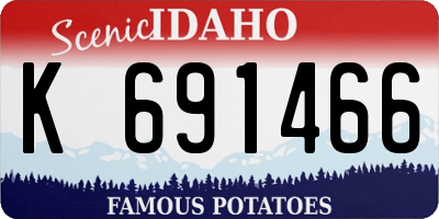 ID license plate K691466