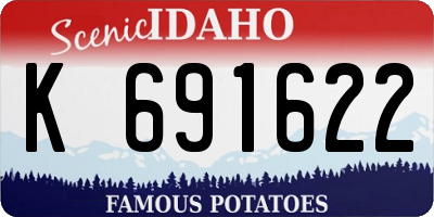 ID license plate K691622