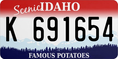 ID license plate K691654