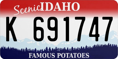 ID license plate K691747