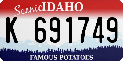 ID license plate K691749